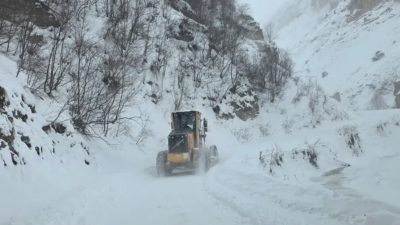 Artvin Ardanuç’a bağlı Zekeriya Köyü’nde çığ meydana geldi. Çobanların çığ