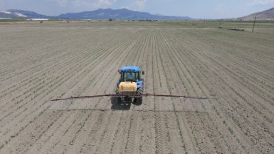 Çin, kuraklık ve sel gibi olumsuz koşullara rağmen 2025’te 714,9