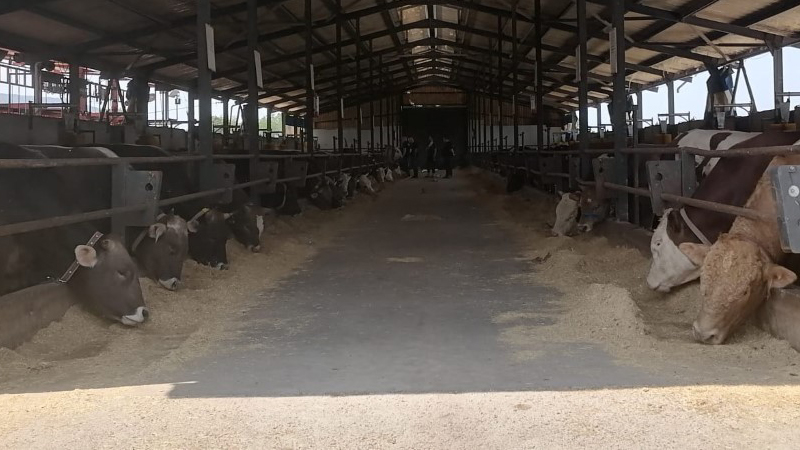 Çiğ süt fiyatına yüzde 13 zam geldi. Ulusal Süt Konseyi,