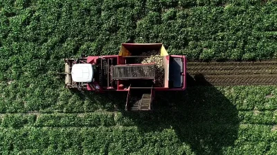 Tahıl ürünleri toplamı için 2024-2025 piyasa döneminde yurt içi üretimin