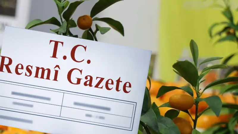 Limon fiyatlarındaki artışın önüne geçmek için ithalatta uygulanan gümrük vergisi