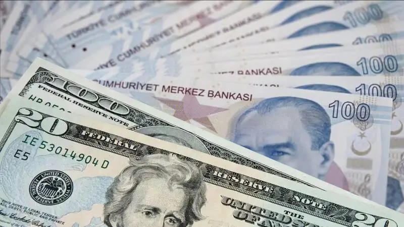 Dolar mı TL mi? Yeni veriler açıklandı. TL %27 getiri