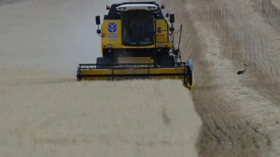 Tarım-ÜFE'de (2020=100), 2026 yılı Mart ayında bir önceki aya göre