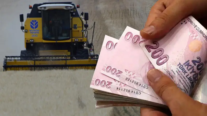 Tarım-GFE'de (2020=100), 2026 yılı Şubat ayında bir önceki aya göre