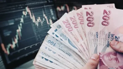 Mayıs ayında yatırımcıların kazanç tablosu netleşti. TL mevduat zirveye çıkarken,