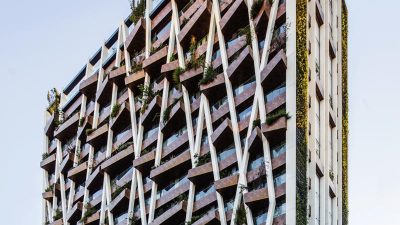 Mental Design Works, WAF 2026'da 3 projeyle finale kaldı, WAFX'te